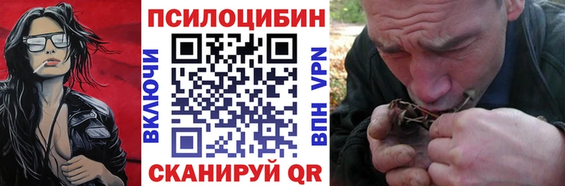 Псилоцибиновые грибы мицелий  Черногорск 