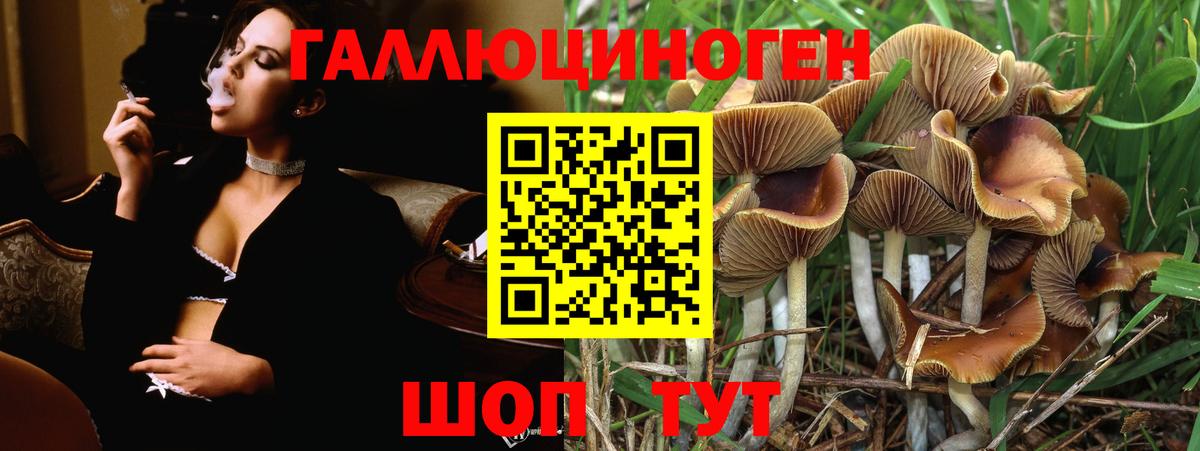 Псилоцибиновые грибы GOLDEN TEACHER Черногорск